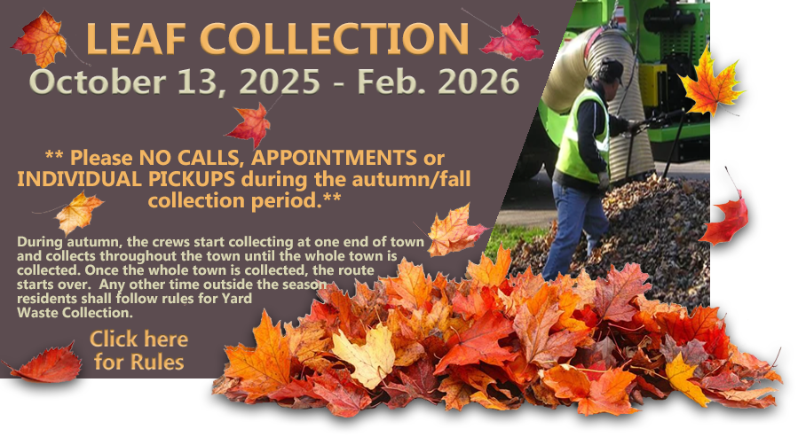 leaf collection 2025