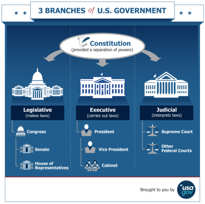 US Government Infographic