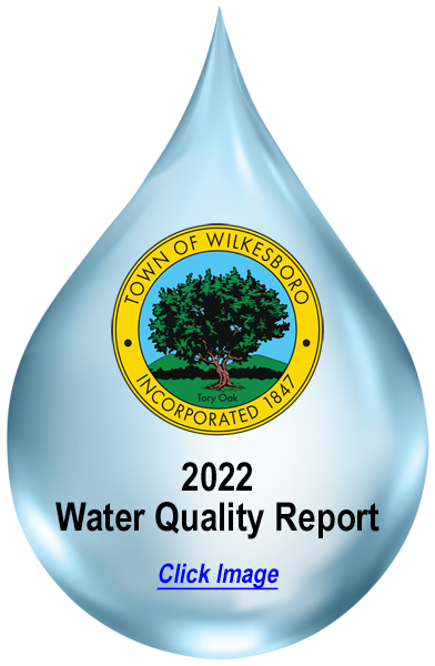 Water Drop 2022 water quality report